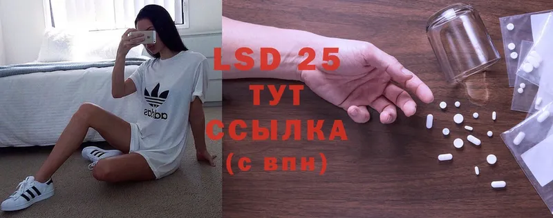 LSD-25 экстази ecstasy  Пудож 